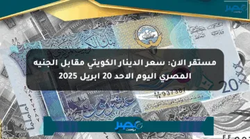 مستقر الآن: سعر الدينار الكويتي مقابل الجنيه المصري اليوم الأحد 20 أبريل 2025